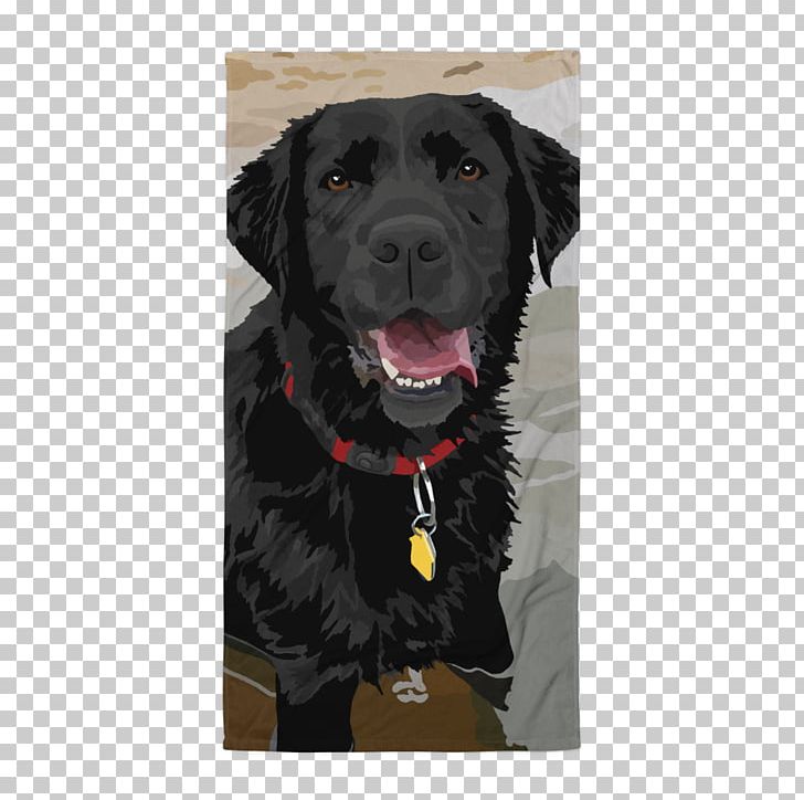 Labrador Retriever Flat-Coated Retriever Puppy Poodle Dog Breed PNG, Clipart, Animals, Black Lab, Breed, Bulldog, Carnivoran Free PNG Download
