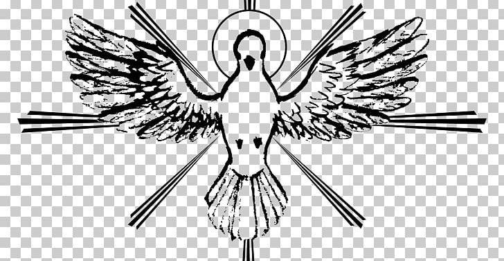 Spiritual Gift Holy Spirit Pentecost Eucharist Christianity PNG, Clipart, Artwork, Baptism, Beak, Bird, Black And White Free PNG Download