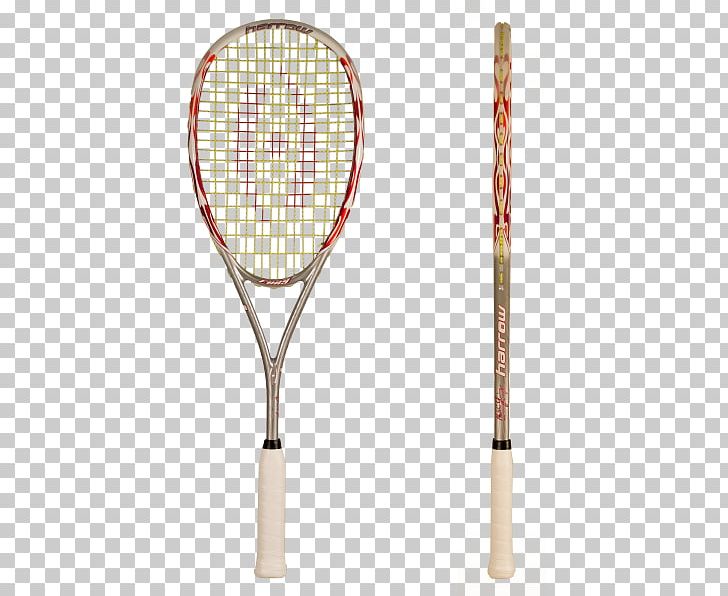 Strings Squash Racket Sport Tecnifibre PNG, Clipart,  Free PNG Download