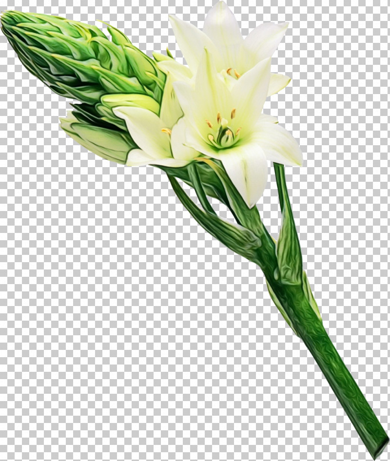 Artificial Flower PNG, Clipart, Artificial Flower, Cut Flowers, Flower, Freesia, Paint Free PNG Download