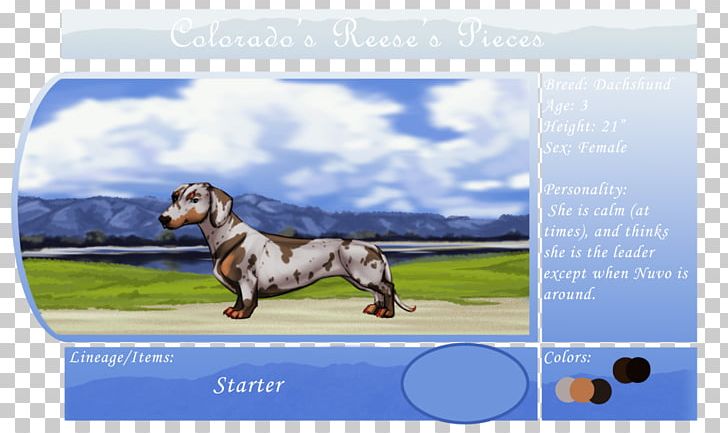 Dog Breed Advertising PNG, Clipart, Advertising, Animals, Breed, Carnivoran, Dog Free PNG Download