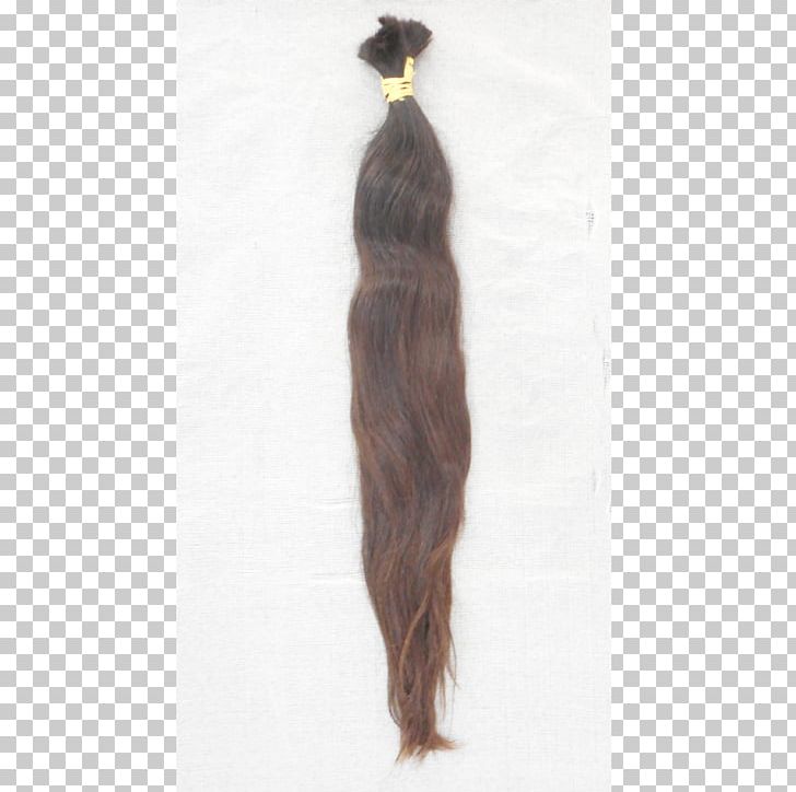 Homo Sapiens Wig PNG, Clipart, Brown Hair, Homo Sapiens, Human, Long Hair, Tail Free PNG Download