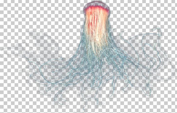 Jellyfish PNG, Clipart, Jellyfish Free PNG Download