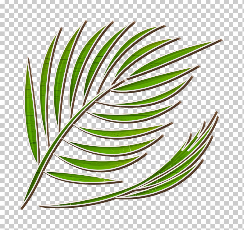 Summer Icon Palm Icon PNG, Clipart, Biology, Geometry, Grasses, Leaf, Line Free PNG Download