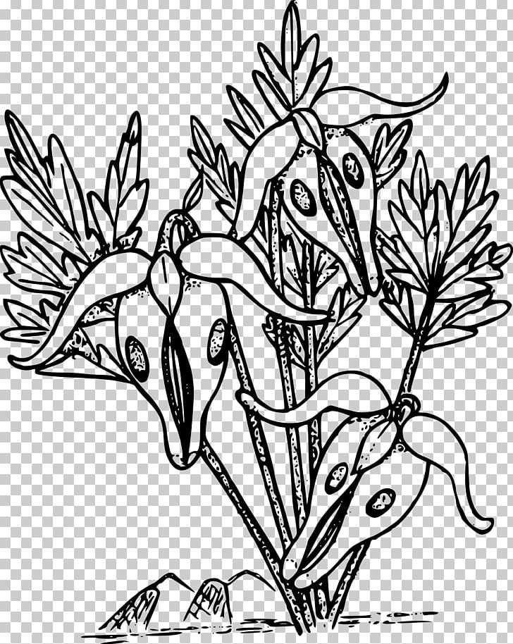 Leaf Photography Branch PNG, Clipart, Beak, Black And White, Bleed, Bleeding Heart, Branch Free PNG Download