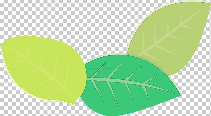 Leaf Green Meter Science Plants PNG, Clipart, Biology, Green, Leaf, Meter, Paint Free PNG Download