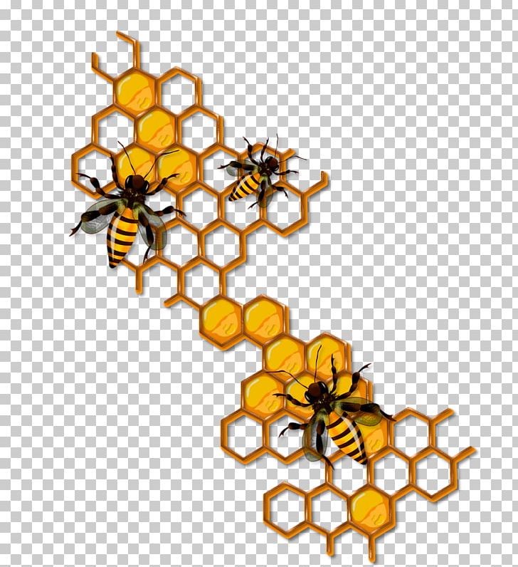 Bee Honeycomb Insect PNG, Clipart, Albom, Animal, Animals, Bee Hive, Beehive Free PNG Download