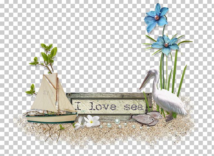 Boat 2404 (عدد) Sail Transport PNG, Clipart, Boat, Flora, Flower, Garden, Grass Free PNG Download