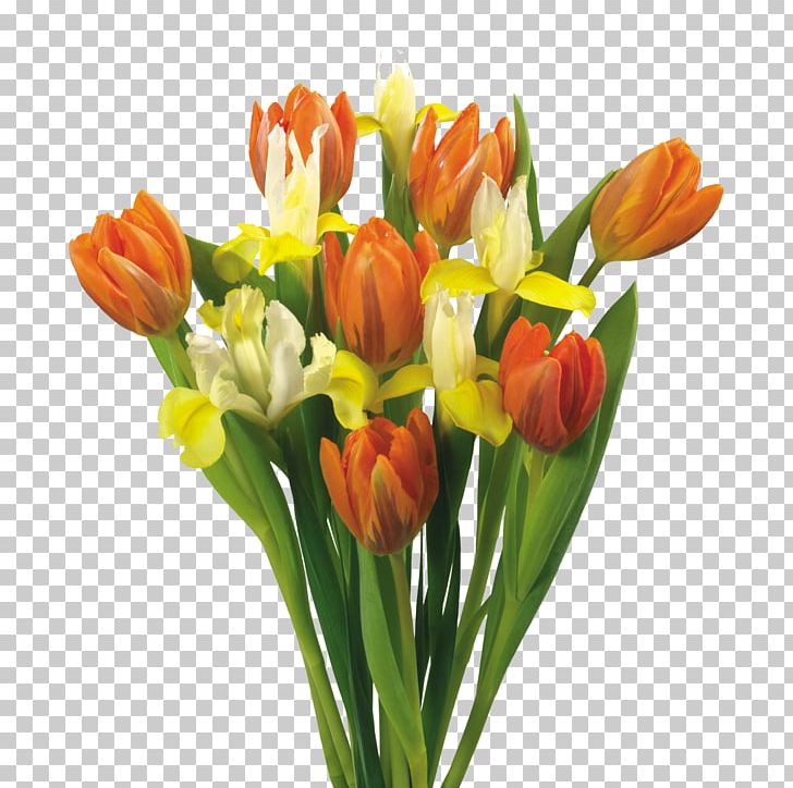 Flower Bouquet Tulip PNG, Clipart, Artificial Flower, Bud, Crocus, Cut Flowers, Desktop Wallpaper Free PNG Download