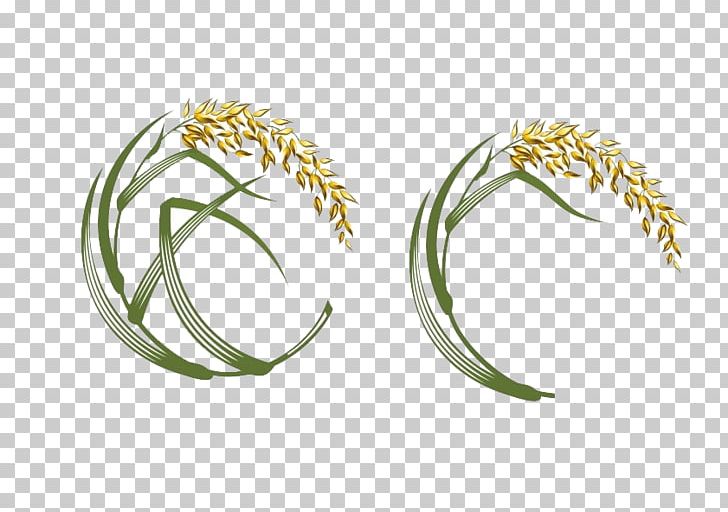 Sushi Rice Japanese Cuisine Oryza Sativa PNG, Clipart, Body Jewelry, Brand, Brown Rice, Bumper, Caryopsis Free PNG Download