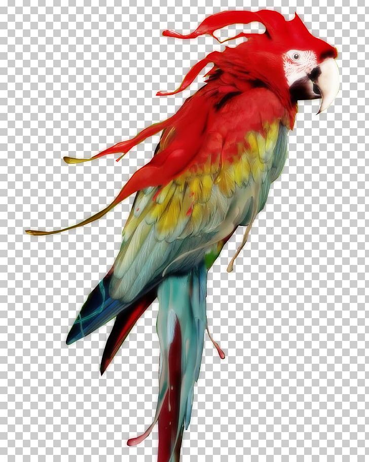 Red-and-green Macaw Parrot Scarlet Macaw Great Green Macaw PNG, Clipart, Animal, Animals, Arara, Beak, Bird Free PNG Download