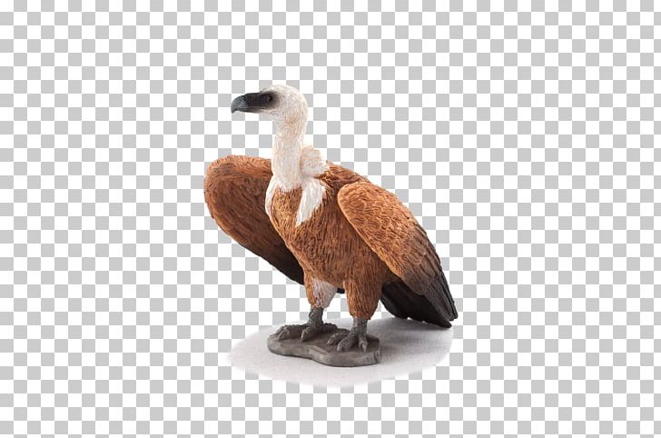 Schleich Griffon Vulture Toy Animal PNG, Clipart, Animal, Animal Figurine, Animal Planet, Beak, Bird Free PNG Download