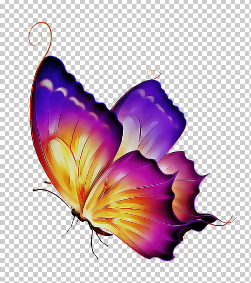 Monarch Butterfly PNG, Clipart, Brushfooted Butterflies, Butterflies, Color, Crossstitch, Cross Stitch Pattern Free PNG Download