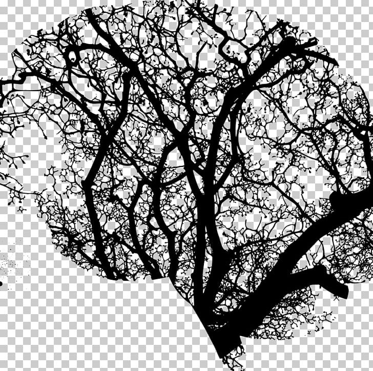 Mental Disorder The Politics Of Mental Health Psychiatry PNG, Clipart, Anxiety, Black And White, Brain, Branch, Community Mental Health Service Free PNG Download