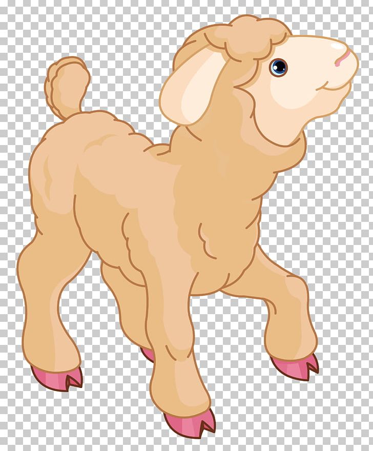 Sheep Lamb And Mutton Mary Had A Little Lamb PNG, Clipart, Art, Black And White, Black Sheep, Camel Like Mammal, Carnivoran Free PNG Download