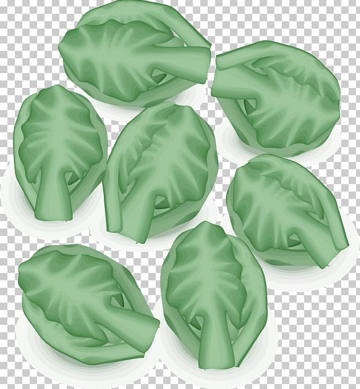 Brussels Sprout Leaf Vegetable Bubble And Squeak Cabbage Sprouting PNG, Clipart, Brassica Oleracea, Brussel, Brussels, Brussels Sprout, Brussels Sprouts Free PNG Download