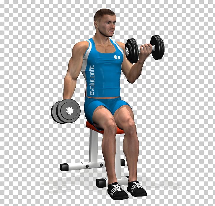 Weight Training Bodybuilding Biceps Curl Dumbbell PNG, Clipart, Abdomen, Arm, Bodybuilder, Exercise, Fitness Professional Free PNG Download