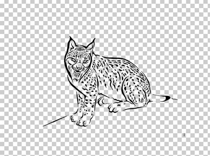 Whiskers Wildcat Paw Tours PNG, Clipart, Big Cat, Big Cats, Black And White, Canidae, Carnivoran Free PNG Download