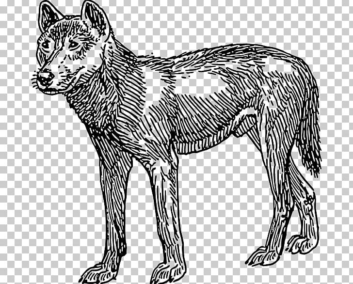 Dingo Rottweiler English Cocker Spaniel PNG, Clipart, Big Cats, Black, Black And White, Carnivoran, Cat Like Mammal Free PNG Download