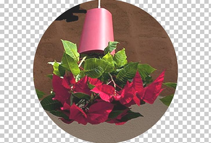 Floral Design Flowerpot Window Box Vase Garden PNG, Clipart, Ceiling, Christmas Decoration, Christmas Ornament, Flora, Floral Design Free PNG Download