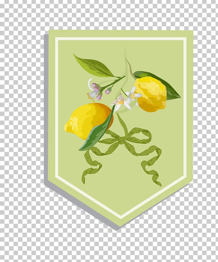 Lemon Illustration PNG, Clipart, Background, Background Vector, Desktop Wallpaper, Encapsulated Postscript, Flower Free PNG Download