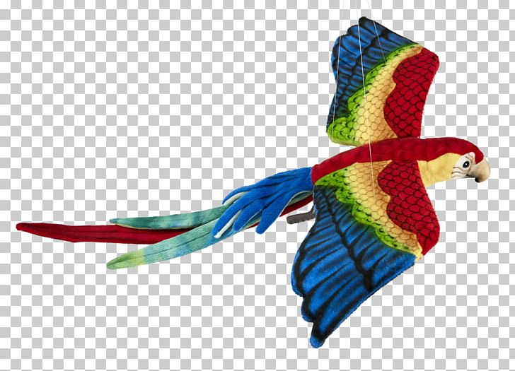 Macaw Feather Parakeet Tropical Forest Reptile PNG, Clipart, Animal, Beak, Bird, Common Pet Parakeet, Feather Free PNG Download