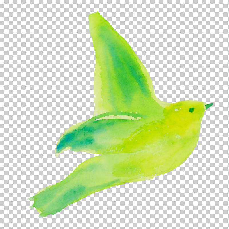 Bird Green Beak Wing Animal Figure PNG, Clipart, Animal Figure, Beak, Bird, Green, Paint Free PNG Download
