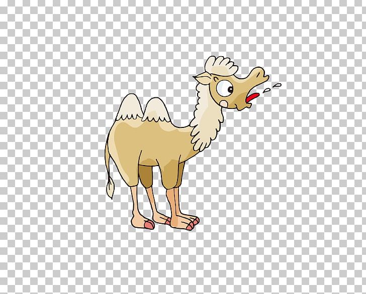 Camel Cartoon PNG, Clipart, Animal, Animals, Animation, Art, Balloon Cartoon Free PNG Download