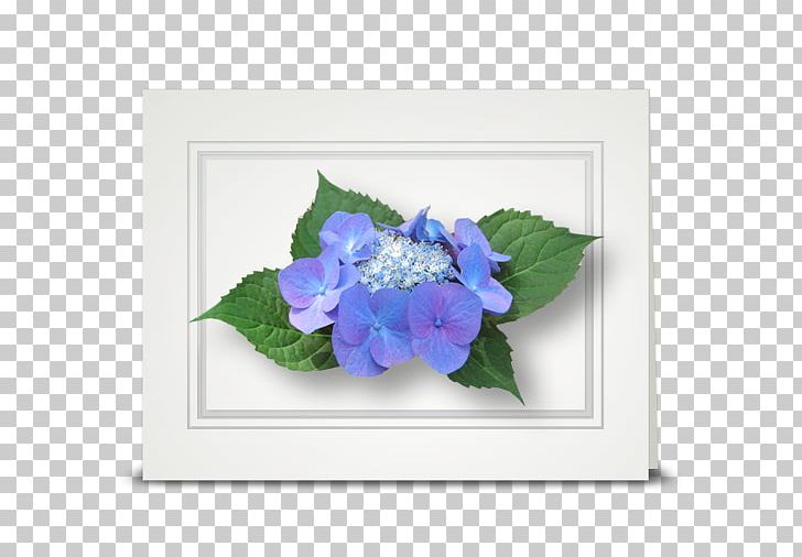 Hydrangea Cut Flowers Violet Floristry PNG, Clipart, Blue, Cornales, Cut Flowers, Flora, Floral Design Free PNG Download