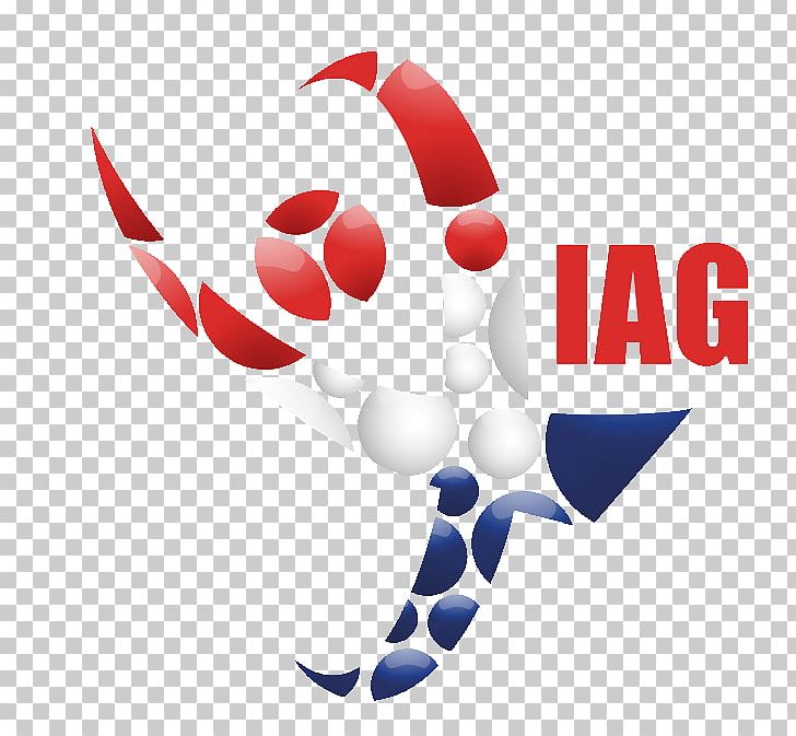 Internationaal Toernooi Artistic Gymnastics IAG Sportevent Flik-Flak PNG, Clipart,  Free PNG Download