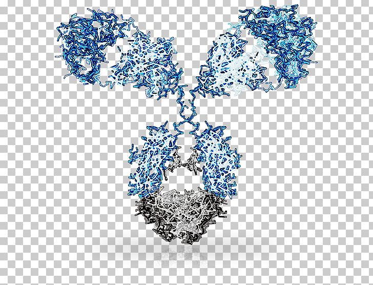 Monoclonal Antibody Affinity Maturation Immune Response B Cell PNG, Clipart, Antibody, B Cell, Blue, Body Jewellery, Body Jewelry Free PNG Download