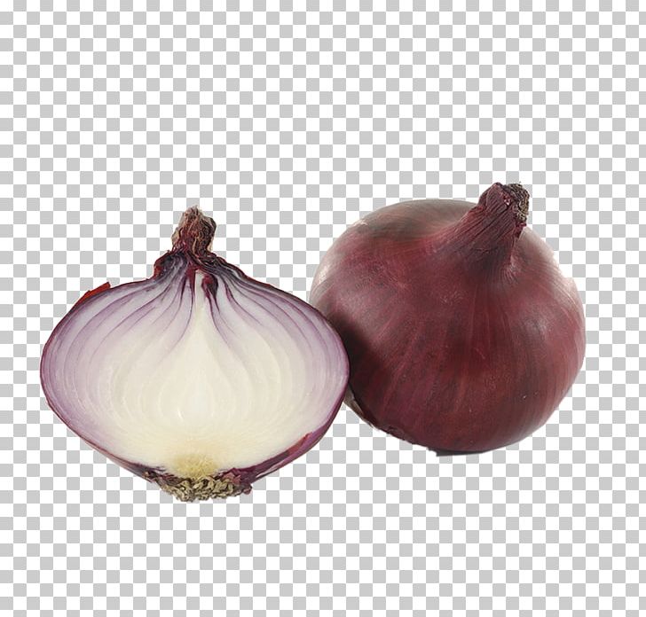 Onion Vegetable Quercetin Eating Health PNG, Clipart, Allium Fistulosum, Buckle, Creative, Cut, Cut Out Free PNG Download