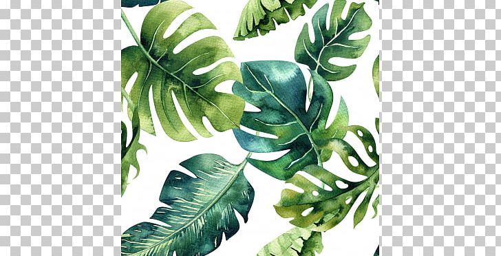 Paper Tropics Drawing Painting PNG, Clipart, Arecaceae, Art, Banana Leaf, Dense, Drawing Free PNG Download