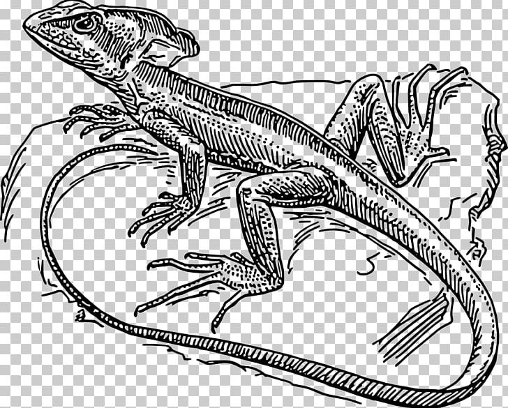 Lizard Reptile Dr. Curt Connors Common Basilisk PNG, Clipart, Animals, Artwork, Automotive Design, Basilisk, Black And White Free PNG Download
