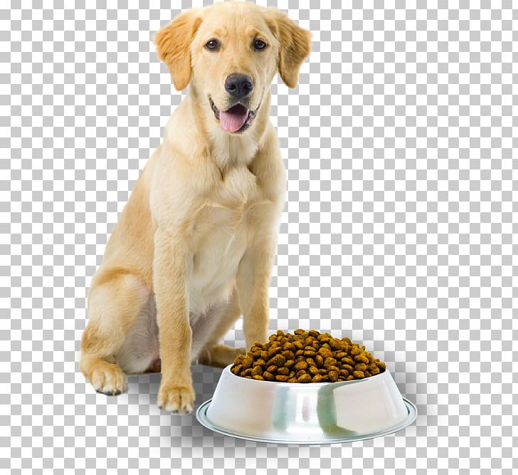 Dog Food Cat Pet Dog Grooming PNG, Clipart, Animals, Canine, Carnivoran, Cat, Clicker Free PNG Download