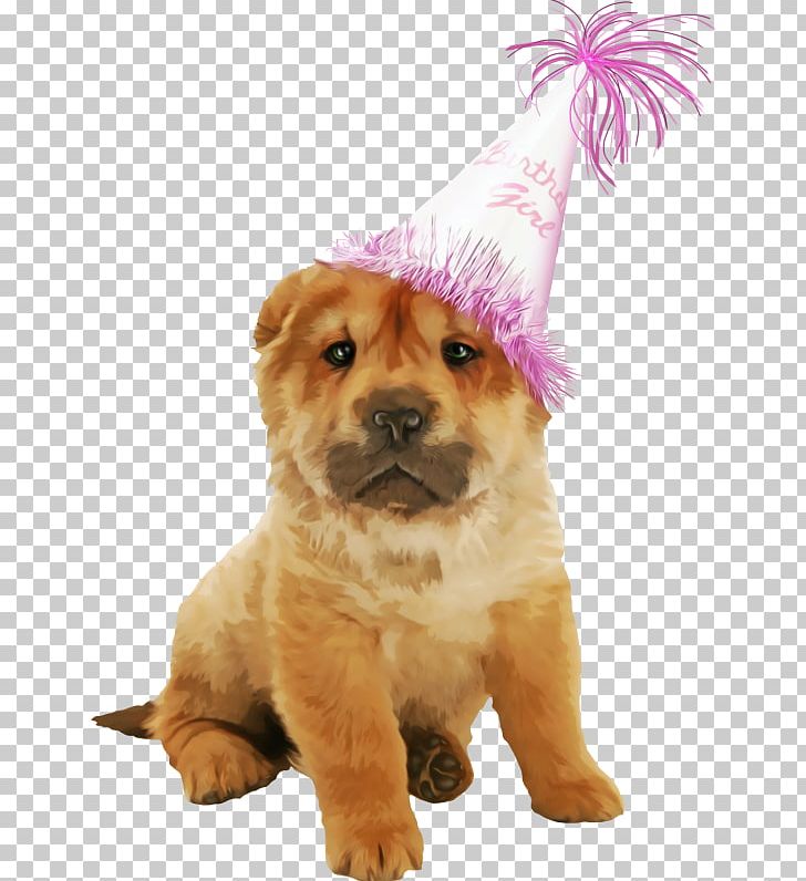 Puppy Dog Breed Chow Chow PNG, Clipart, Animals, Birthday, Breed Group Dog, Carnivoran, Chow Chow Free PNG Download