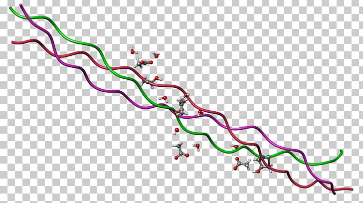 Collagen Helix Triple Helix Protein PNG, Clipart, Amino Acid, Area, Bone, Branch, Chimera Free PNG Download