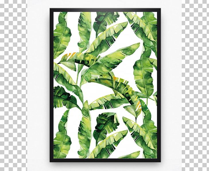 Paper Partition Wall Adhesive Leaf PNG, Clipart, Adhesive, Azulejo, Banana Leaves, Cardboard, Chard Free PNG Download