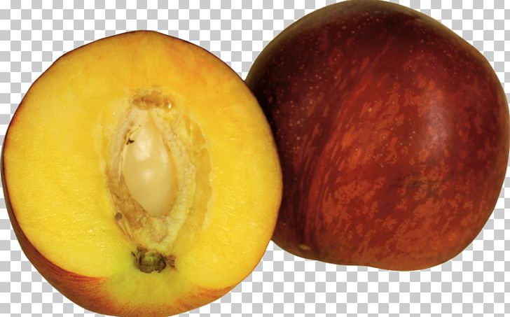 Peach PNG, Clipart, Computer Graphics, Computer Icons, Digital Image, Durazno, Food Free PNG Download