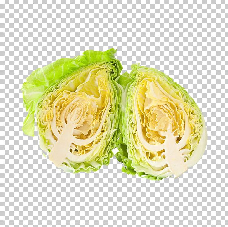 Savoy Cabbage Romaine Lettuce PNG, Clipart, Adobe Illustrator, Brassica Oleracea, Cabbage, Cross, Crossed Arrows Free PNG Download