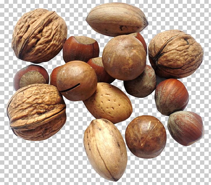 Walnut Dried Fruit Seed PNG, Clipart, Computer Icons, Download, Dried Fruit, Food, Fruit Free PNG Download