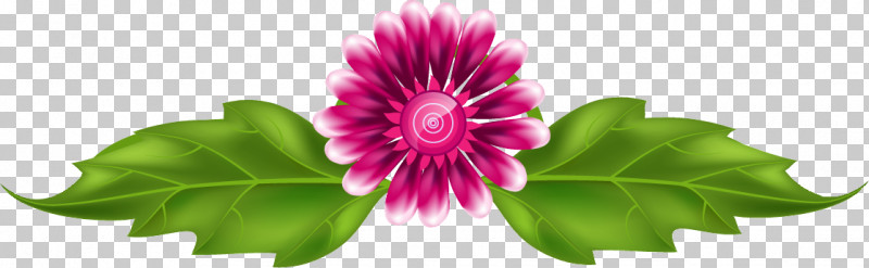 Flower Border Flower Background PNG, Clipart, Annual Plant, Flower, Flower Background, Flower Border, Magenta Free PNG Download