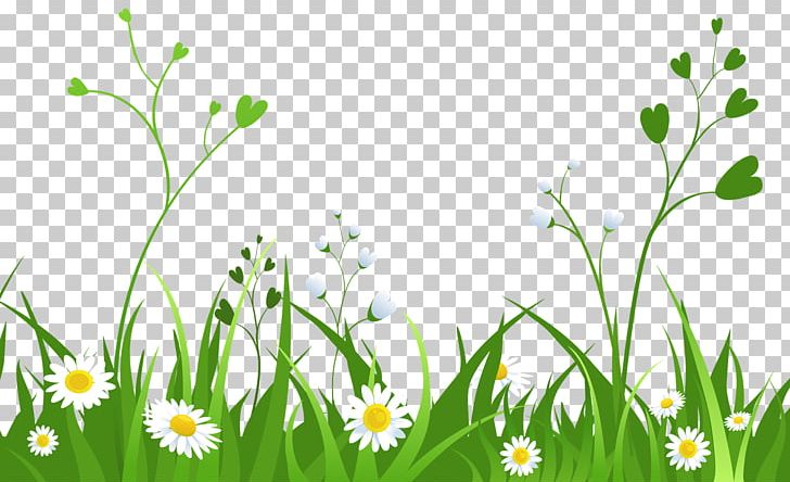 Others Computer Wallpaper Grass PNG, Clipart, Blog, Chamaemelum Nobile, Chamomile, Clip, Computer Wallpaper Free PNG Download