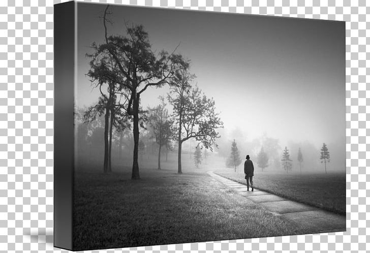 Fog Still Life Photography Desktop PNG, Clipart, Art Of Remember Me, Black And White, Computer, Computer Wallpaper, Desktop Wallpaper Free PNG Download
