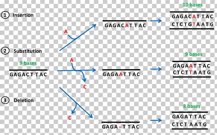 Frameshift Mutation Point Mutation Deletion DNA PNG, Clipart, Angle, Area, Blue, Brand, Chromosome Abnormality Free PNG Download