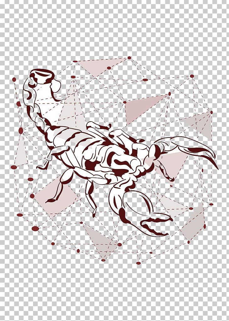 Scorpion Illustration PNG, Clipart, Art, Circle, Design, Download, Drawing Free PNG Download