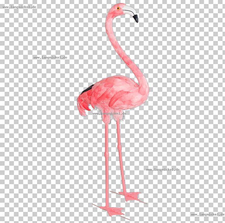 Water Bird Plastic Flamingo Greater Flamingo Animal PNG, Clipart, Animal, Animals, Beak, Bird, Chicken Free PNG Download