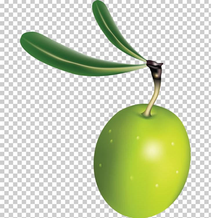 Apple PNG, Clipart, Apple, Food, Fruit, Green, Green Olives Free PNG Download