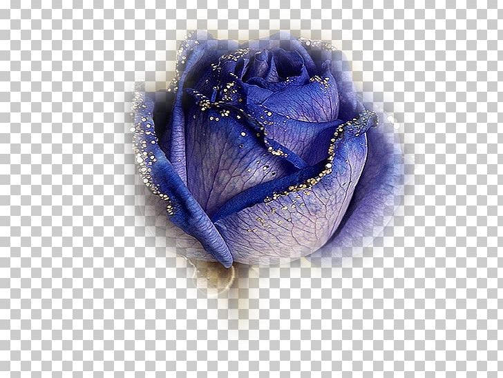 Blue Rose Flower PNG, Clipart, Blingee, Blue, Blue Rose, Cicek, Cicek Resimleri Free PNG Download