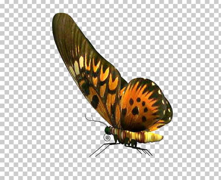 Butterfly PhotoScape Stock Photography PNG, Clipart, Arthropod, Butterflies And Moths, Butterfly, Gimp, Insect Free PNG Download